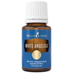 White Angelica Essential Oil - 15 ml